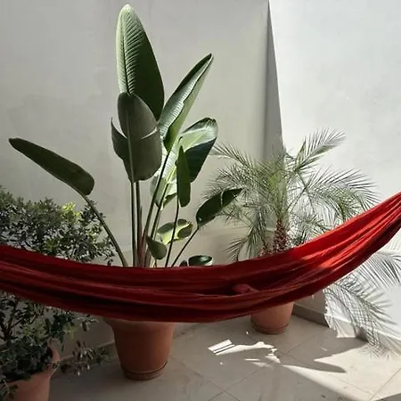 Casa Zea - Cozy Old Town Villa