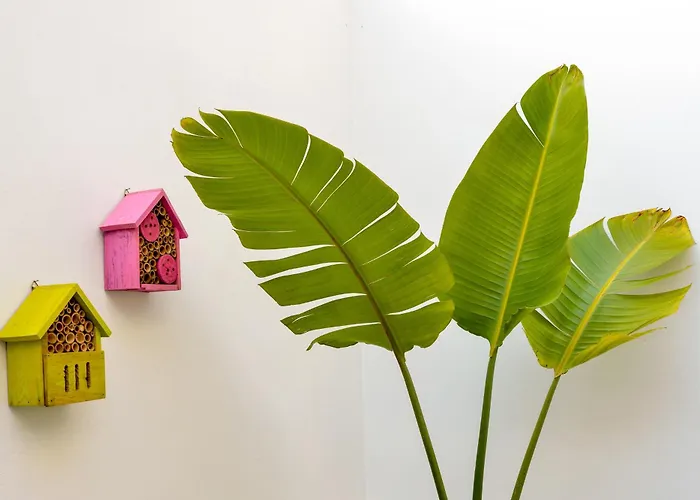 Casa Zea - Cozy Old Town Villa