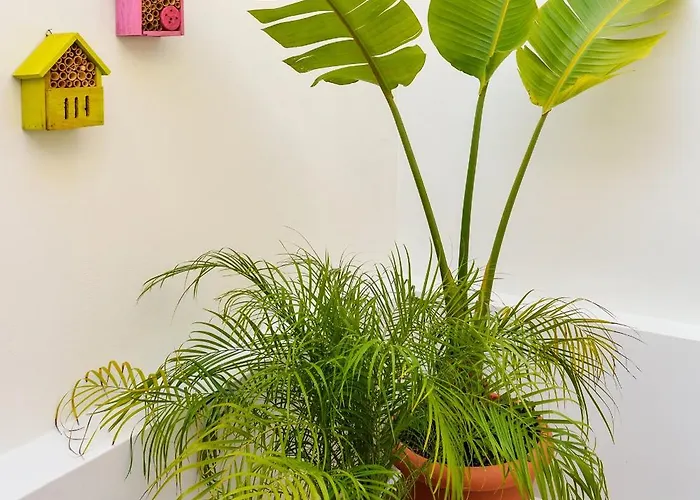 Casa Zea - Cozy Old Town *