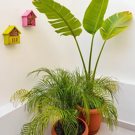 Casa Zea - Cozy Old Town *